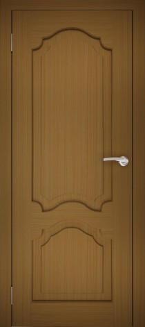 Дверь ШГ-1